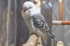 DSC_1238.JPG