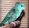 DSCF8112.JPG