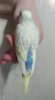 IMG_20190226_174101.jpg