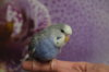 DSC_1117.JPG