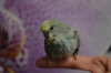 DSC_1129.JPG