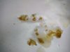 IMG-20190228-WA0000.jpg