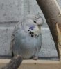 IMG_7372.JPG
