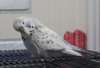 IMG_7437.JPG