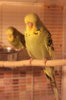 IMG_7856.JPG
