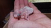 DSCF8275.JPG