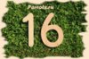 broj-16-shutterstock-e1539250053631.jpg