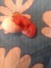 20190304_083024.jpg