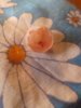 20190304_084406.jpg