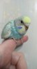 IMG_20190304_111723.jpg