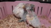 DSCF8433.JPG