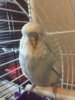IMG-20190309-WA0039-01.jpeg