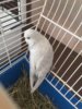 IMG-20190309-WA0009-01.jpeg