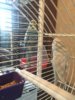 IMG-20190309-WA0026-01.jpeg