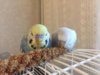 IMG-20190310-WA0005.jpg