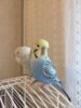 IMG-20190310-WA0012.jpg