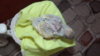 DSCF0053.JPG