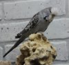IMG_8370.JPG