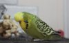 IMG_8512.JPG