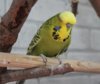 IMG_8522.JPG