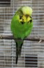 IMG_8475.JPG