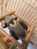 IMG_20190314_165524.jpg
