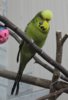 IMG_8973.JPG