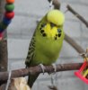 IMG_8960.JPG