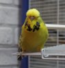 IMG_8854.JPG