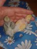 20190319_151701.jpg