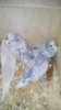 20190317_202746.jpg