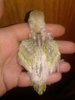 20190322_085659.jpg