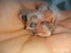 IMG_20190326_075806.jpg