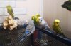 IMG_20190326_141650.jpg