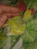 20190326_090520.jpg