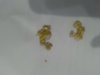 IMG-20190327-WA0008.jpg