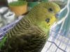 IMG-20190327-WA0010.jpg