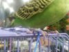 IMG-20190327-WA0004.jpg