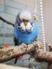 IMG_20190328_210648.jpg