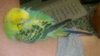 2019-03-31-355.jpg