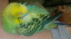 2019-03-31-356.jpg
