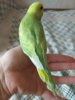IMG_20190403_133059.jpg