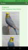 Screenshot_20181103-015119.png