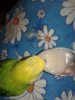 20190405_084632.jpg
