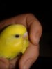20190405_083941.jpg