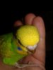 20190405_085403.jpg