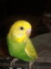 20190405_085625.jpg
