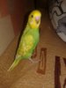 20190405_085331.jpg