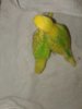 20190405_085726.jpg