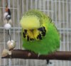 IMG_9482.JPG